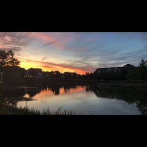 Meet your Posher, Tziporah